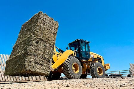 CAT 938 hjullæsser kører med halmballer på mark